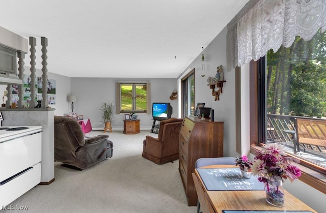 living room featuring light colored carpet