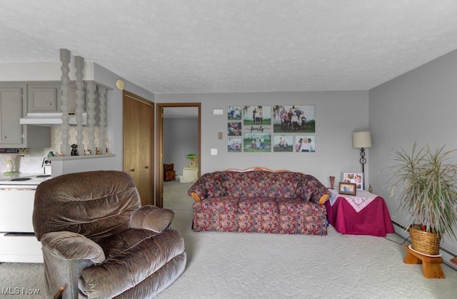 living room with a baseboard heating unit, carpet flooring, and a textured ceiling