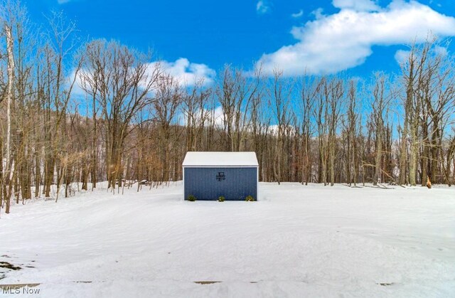 yard covered in snow featuring a shed