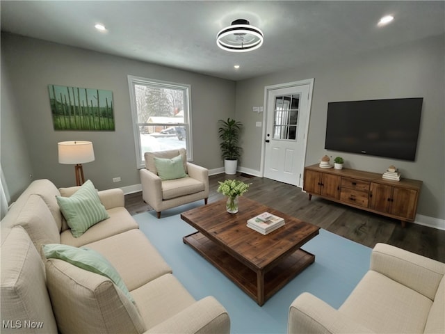 living room featuring dark hardwood / wood-style flooring