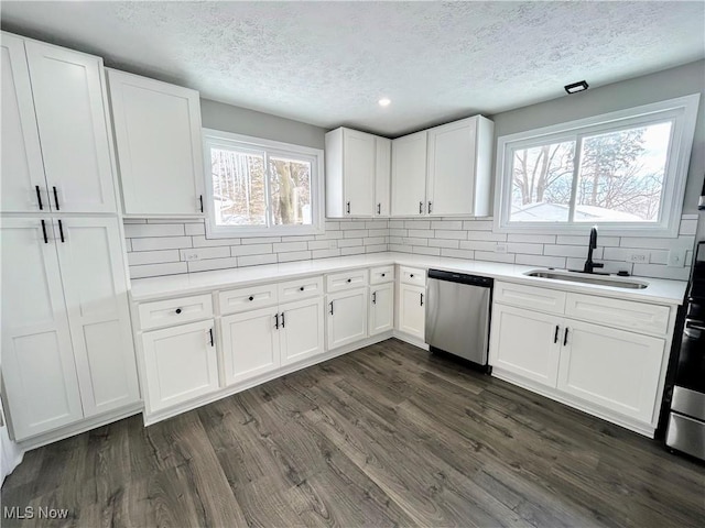 kitchen featuring sink, white cabinetry, and stainless steel dishwasher