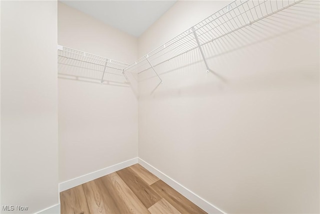 walk in closet featuring hardwood / wood-style flooring