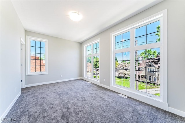 unfurnished room with carpet flooring and plenty of natural light