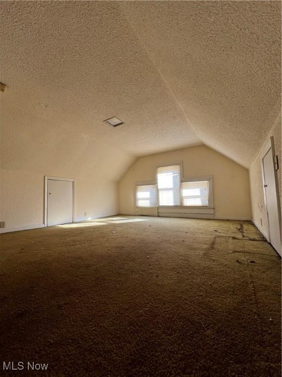 bonus room with lofted ceiling, a textured ceiling, and carpet floors