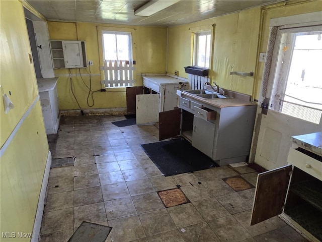 kitchen with electric panel and sink