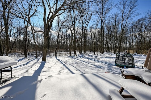 view of yard layered in snow