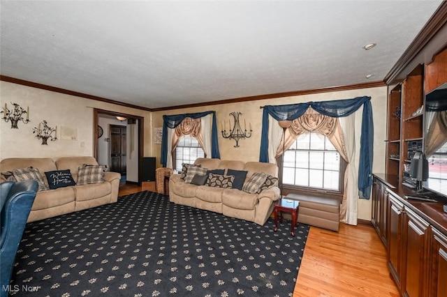 living room featuring a textured ceiling, ornamental molding, and light hardwood / wood-style flooring