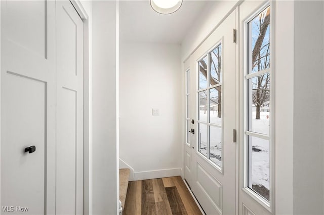 entryway with dark hardwood / wood-style flooring