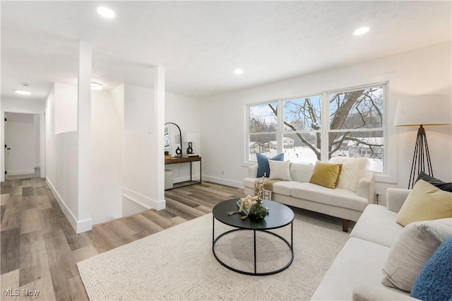 living room featuring light wood-type flooring