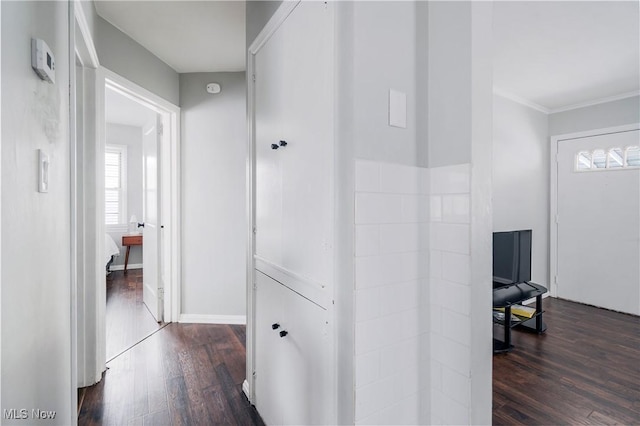 hallway featuring crown molding and dark hardwood / wood-style flooring