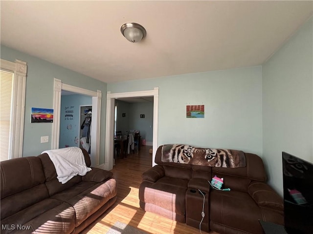 living room featuring hardwood / wood-style floors