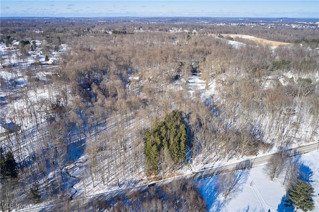 view of snowy aerial view