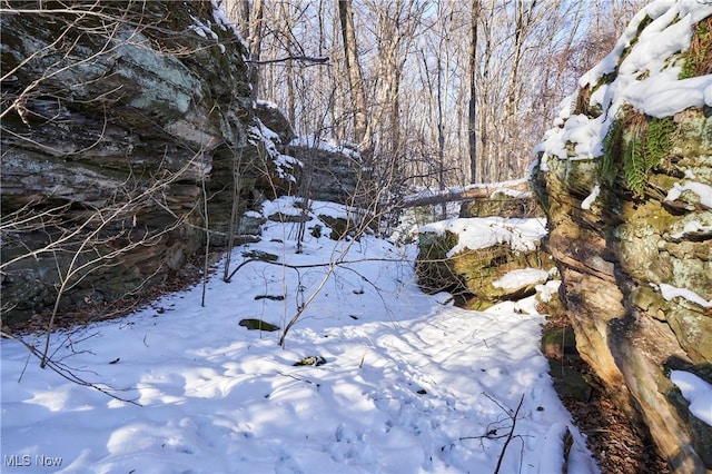 view of snowy landscape