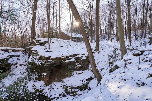 view of snow covered land