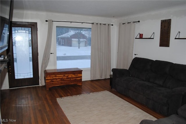 living room with dark hardwood / wood-style floors