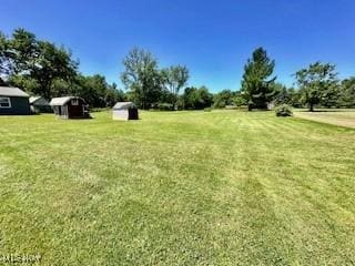 view of yard featuring a shed