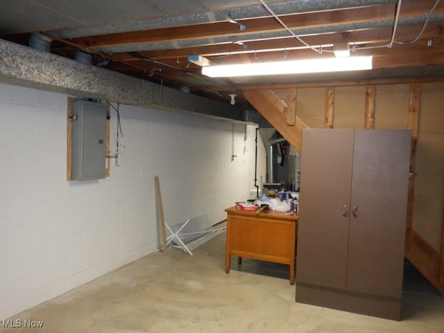 basement featuring electric panel