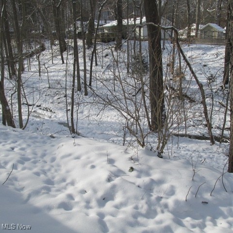 view of snowy yard