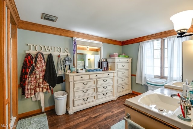 bathroom featuring wood-type flooring, vanity, and ornamental molding