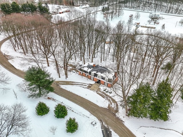 view of snowy aerial view