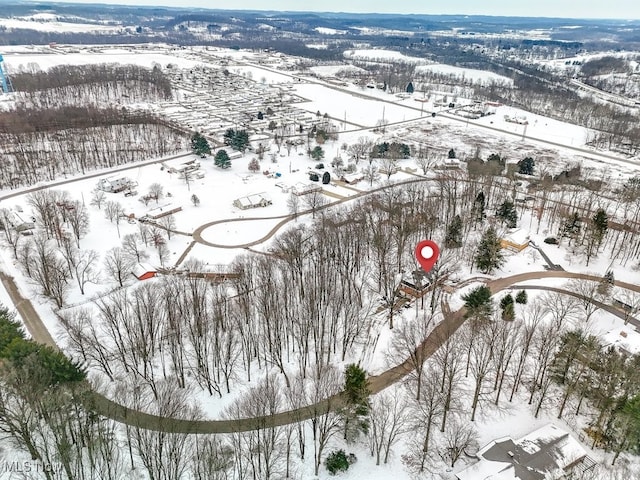 view of snowy aerial view