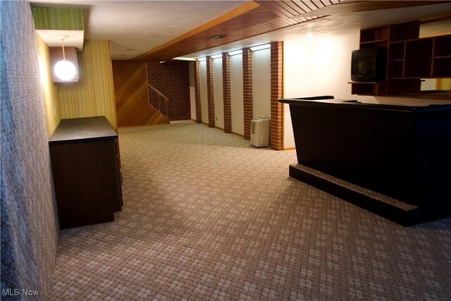 basement with wooden walls