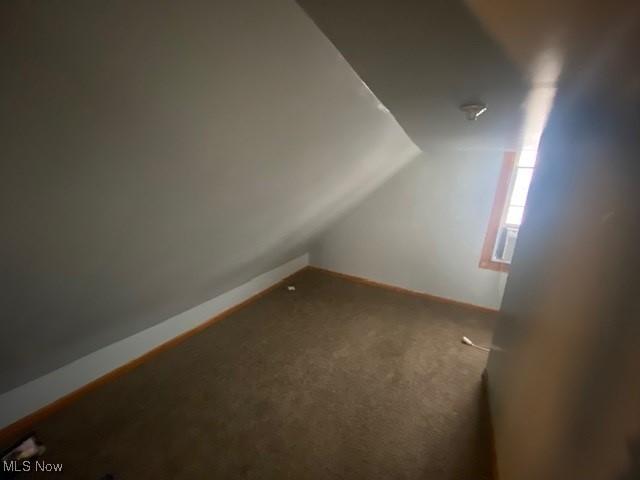 bonus room with carpet flooring