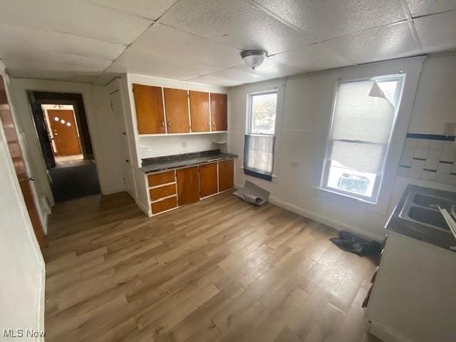 kitchen with a drop ceiling, light hardwood / wood-style floors, and sink