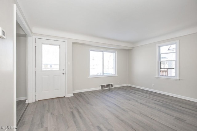 entryway featuring light wood-type flooring and plenty of natural light