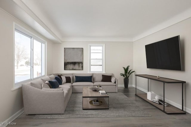 living room featuring dark hardwood / wood-style flooring and a wealth of natural light