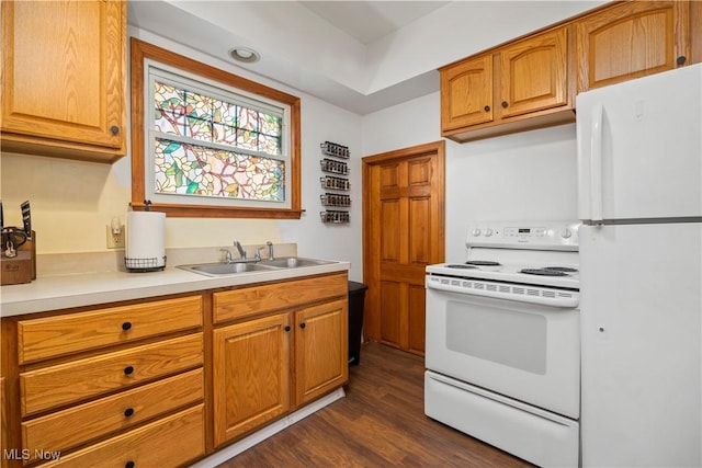 kitchen featuring white appliances, dark wood-type flooring, and sink