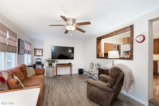 living room featuring light hardwood / wood-style floors and ceiling fan