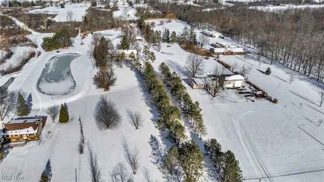 view of snowy aerial view