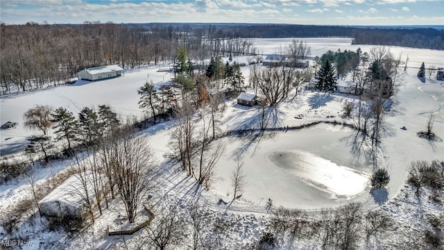 view of snowy aerial view