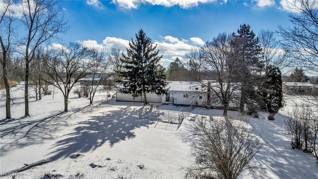 view of yard covered in snow