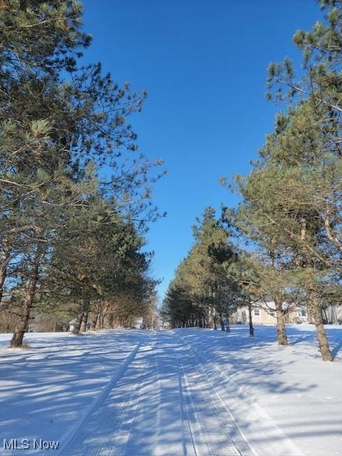 view of snowy yard