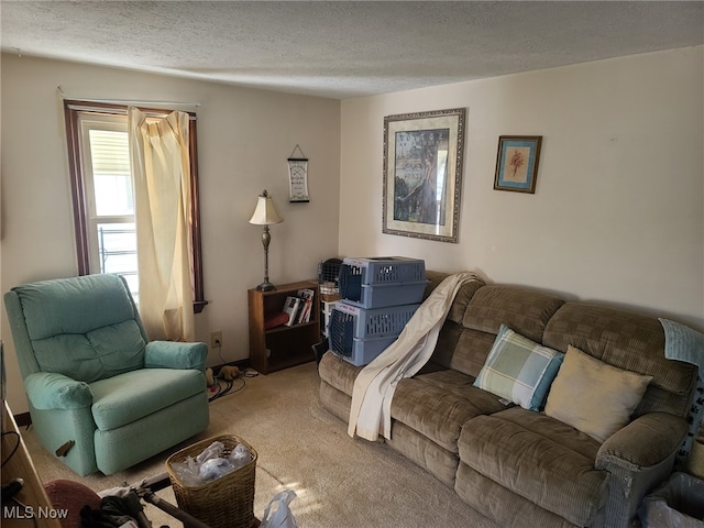 carpeted living room featuring a textured ceiling