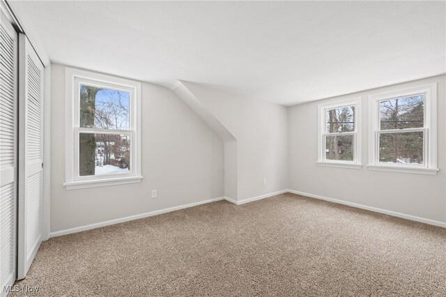 bonus room featuring carpet floors