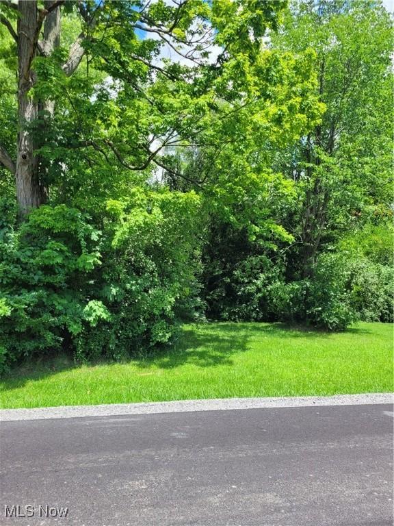 Townsend Ave, Youngstown OH, 44505 land for sale