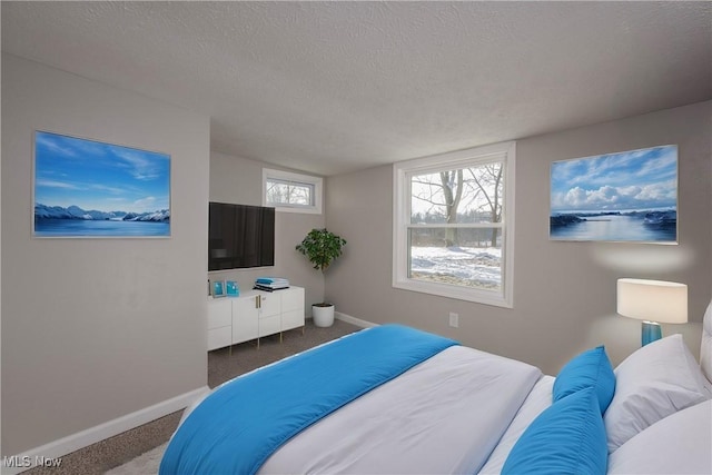 bedroom with a textured ceiling and carpet flooring