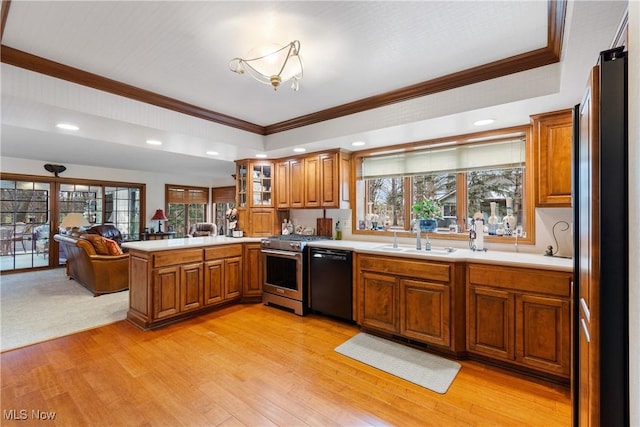 kitchen featuring sink, light hardwood / wood-style flooring, kitchen peninsula, a wealth of natural light, and appliances with stainless steel finishes