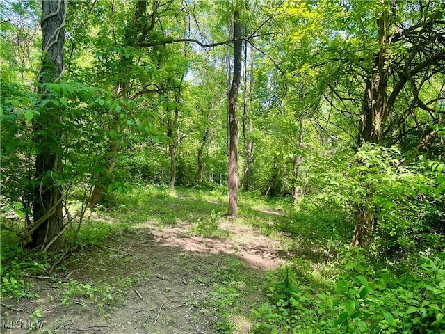 Valley Rd, Caldwell, OH 43724