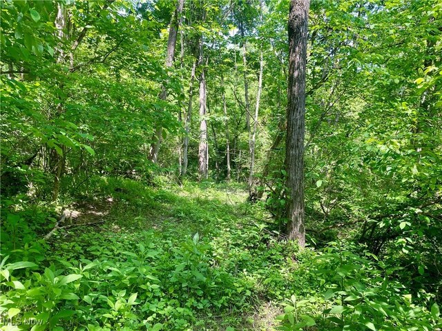 Valley Rd, Caldwell, OH 43724