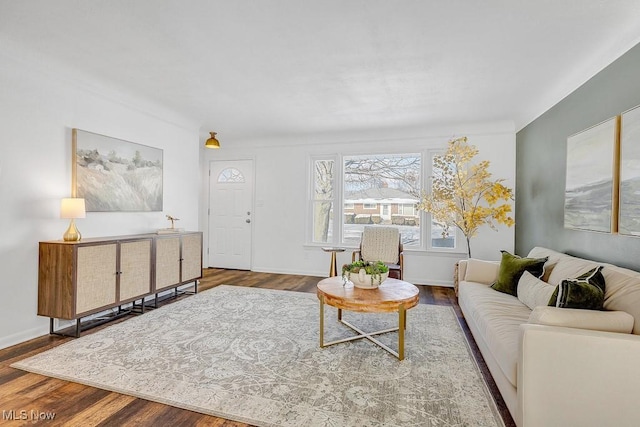 living room with wood-type flooring