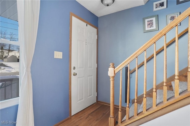 foyer entrance featuring hardwood / wood-style flooring