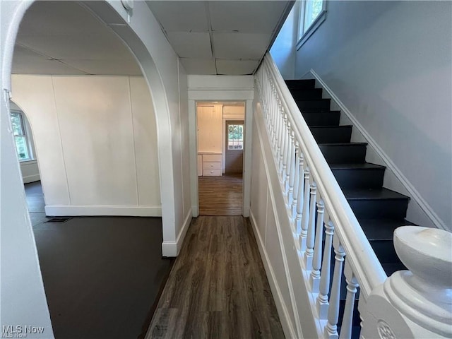 staircase featuring hardwood / wood-style flooring