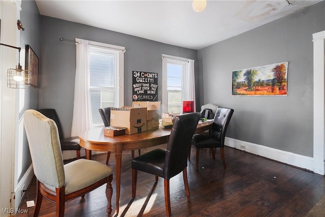 dining room featuring wood-type flooring