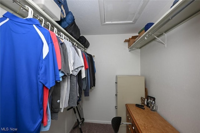 spacious closet with carpet