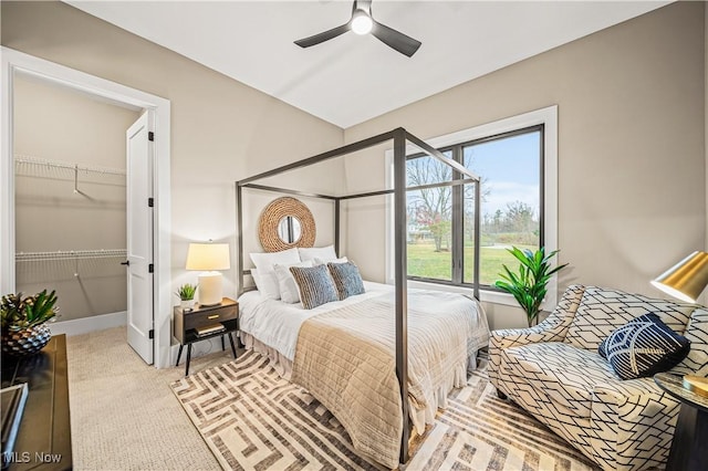 carpeted bedroom with ceiling fan, a spacious closet, and a closet