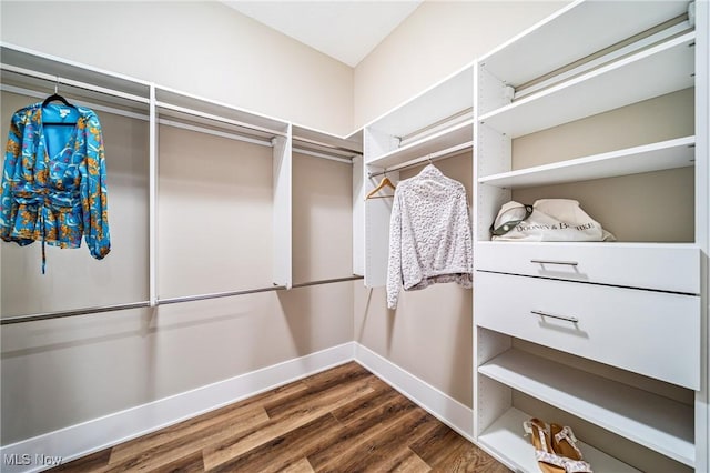 walk in closet featuring wood-type flooring